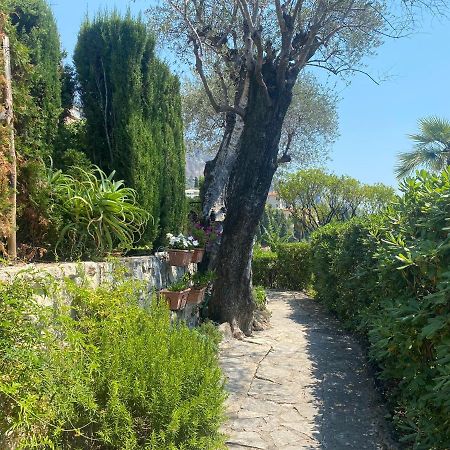 "Jardin Du Pian" Calme, Proche Gare, Mer Мантон Екстер'єр фото